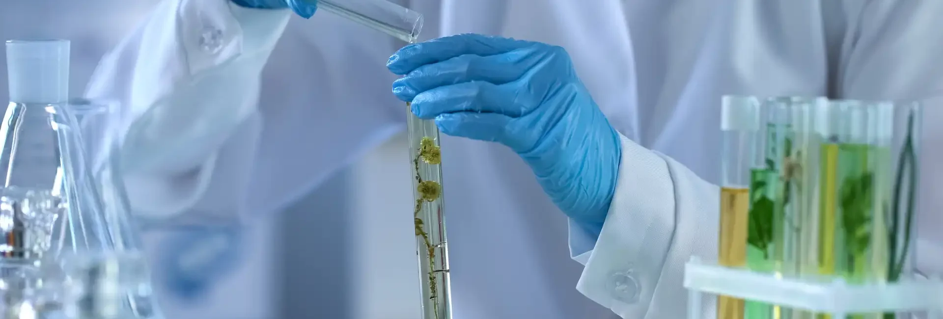 sbocchi lavorativi biologia