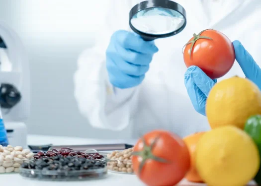 come diventare consulente HACCP